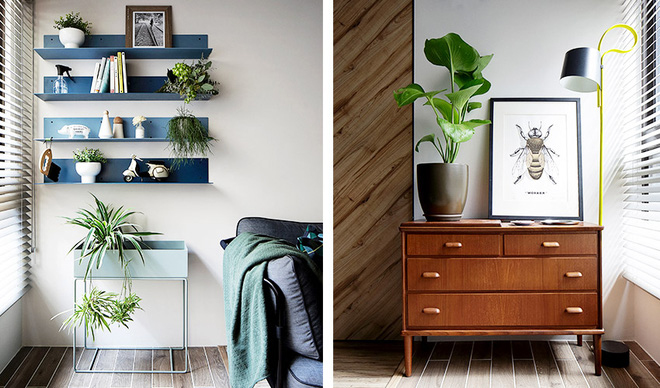 Thiết kế nội thất chung cư đẹp