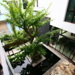 Những ý tưởng tuyệt vời giúp căn nhà của bạn tràn ngập màu xanh, xanh mát