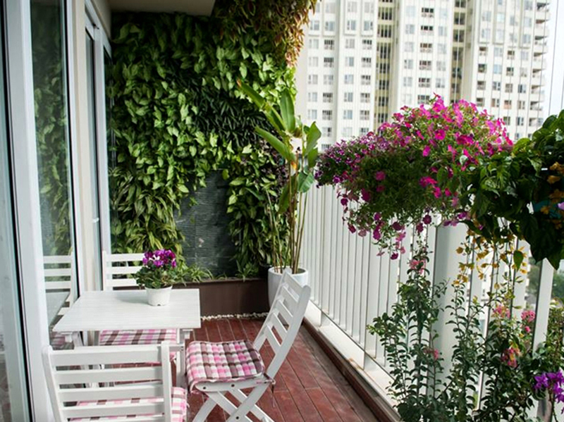 Thiết kế nhà phố đẹp, xanh mát