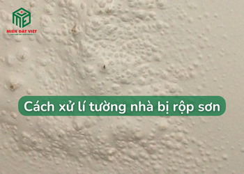 Tường nhà bị rộp sơn