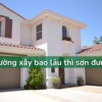 Xây nhà xong có NÊN sơn tường luôn KHÔNG?