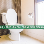 Top 8 cách khử mùi nhà vệ sinh ĐƠN GIẢN tại nhà