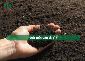 Đất nền yêu là gì