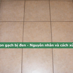 Ron gạch bị đen – Nguyên nhân và cách xử lý