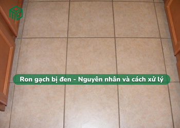 ron-gach-bi-den