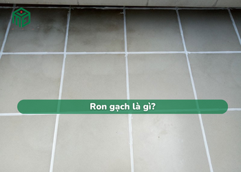 ron-gach-la-gi
