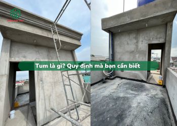 tum và quy định bạn cần biết