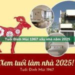 Tuổi Đinh Mùi sinh năm 1967 xây nhà trong năm 2025 có tốt không?
