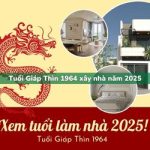 Tuổi Giáp Thìn sinh năm 1964 xây nhà trong năm 2025 có tốt không?