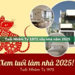 Tuổi Nhâm Tý sinh năm 1972 xây nhà trong năm 2025 có tốt không?