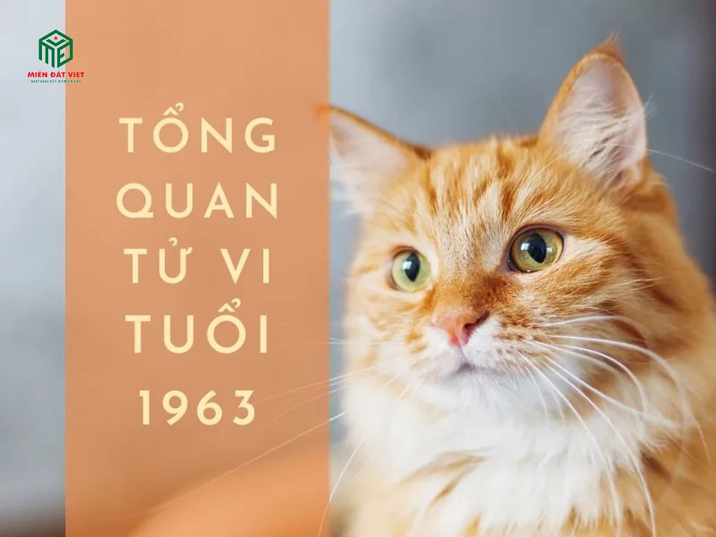 Tổng quan về việc tuổi Quý Mão sinh năm 1963 xây nhà năm 2025