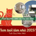 Tuổi Quý Mão sinh năm 1963 xây nhà trong năm 2025 có tốt không?