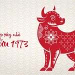 Tuổi Quý Sửu sinh năm 1973 xây nhà trong năm 2025 có tốt không?