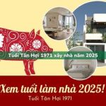 Tuổi Tân Hợi sinh năm 1971 xây nhà trong năm 2025 có tốt không?