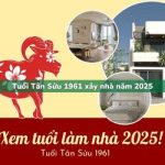 Tuổi Tân Sửu sinh năm 1961 xây nhà trong năm 2025 có tốt không?