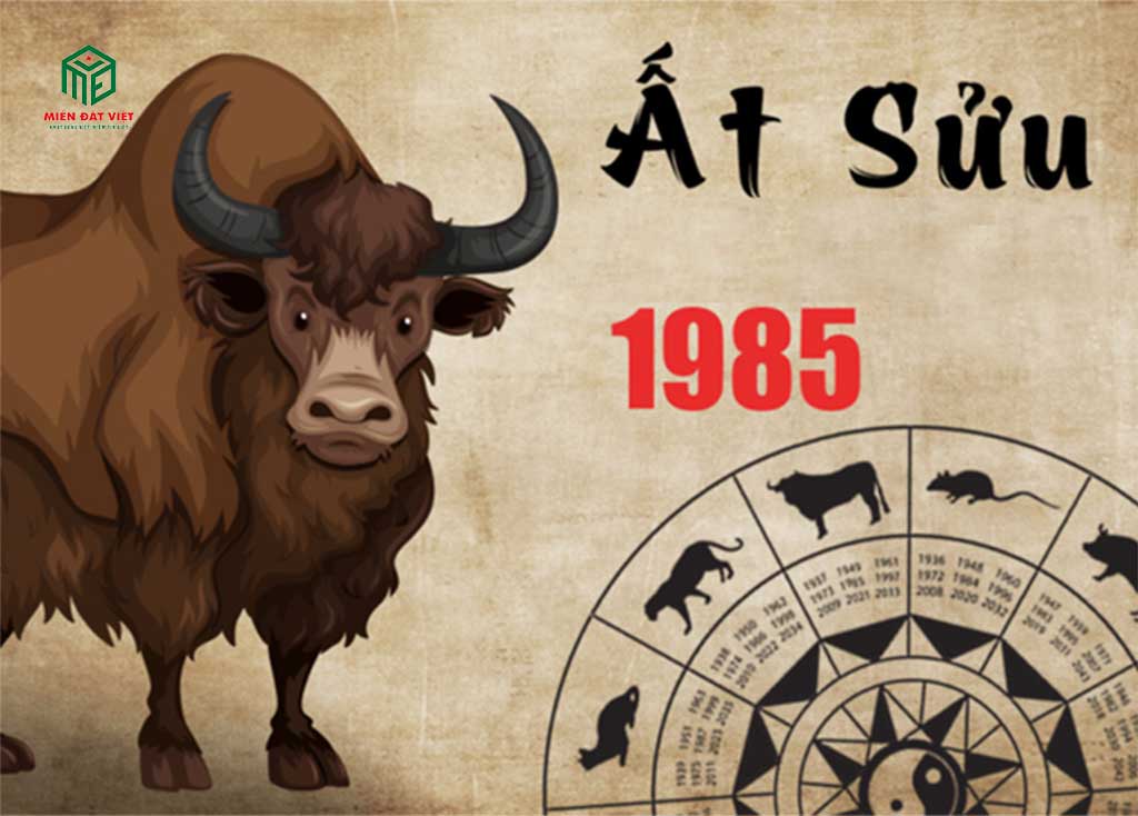 Tổng quan về tuổi Ất Sửu 1985