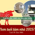 Tuổi Ất Sửu sinh năm 1985 xây nhà trong năm 2025 có tốt không?