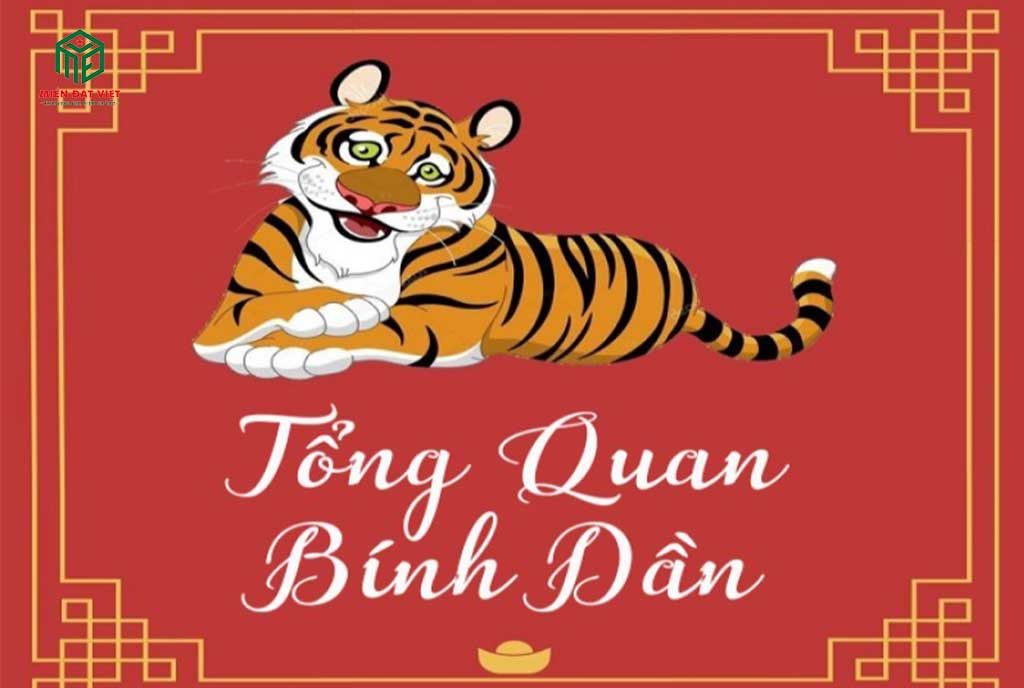 Tổng quan tuổi Bính Dần