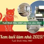Tuổi Đinh Mão sinh năm 1987 xây nhà trong năm 2025 có tốt không?