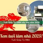 Tuổi Giáp Tý sinh năm 1984 xây nhà trong năm 2025 có tốt không?