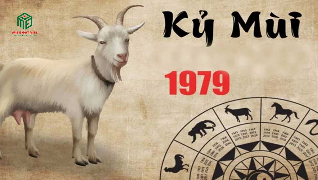 Tổng quan về tuổi Kỷ Mùi 1979