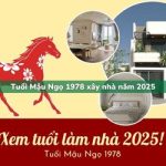 Tuổi Mậu Ngọ sinh năm 1978 xây nhà trong năm 2025 có tốt không?