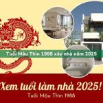 Tuổi Mậu Thìn sinh năm 1988 xây nhà trong năm 2025 có tốt không?