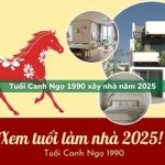 Tuổi Canh Ngọ sinh năm 1990 xây nhà trong năm 2025 có tốt không?