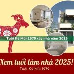 Tuổi Kỷ Mùi sinh năm 1979 xây nhà trong năm 2025 có tốt không?