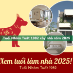 Tuổi Nhâm Tuất sinh năm 1982 xây nhà trong năm 2025 có tốt không?