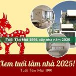 Tuổi Tân Mùi sinh năm 1991 xây nhà trong năm 2025 có tốt không?