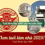 Tuổi Đinh Sửu sinh năm 1997 xây nhà trong năm 2025 có tốt không?