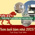 Tuổi Giáp Tuất sinh năm 1994 xây nhà trong năm 2025 có tốt không?