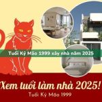 Tuổi Kỷ Mão sinh năm 1999 xây nhà trong năm 2025 có tốt không?