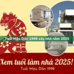 Tuổi Mậu Dần sinh năm 1998 xây nhà trong năm 2025 có tốt không?