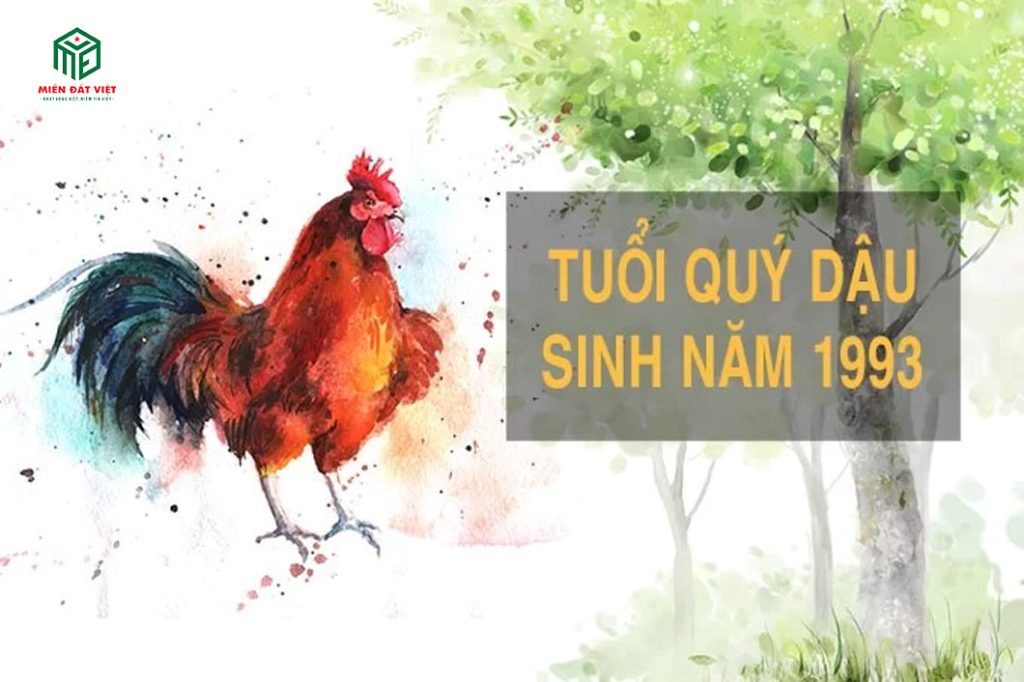 Tử vi tuổi Quý Dậu năm 2025 nữ mạng