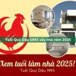 Tuổi Quý Dậu sinh năm 1993 xây nhà trong năm 2025 có tốt không?